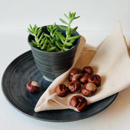 469456415_18475843513063417_8591068191601930790_n